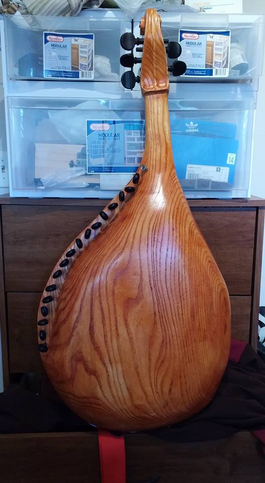 Finished folk bandura portrait photo